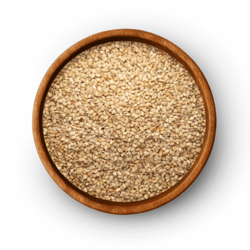 Sesame Seed